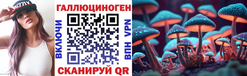 как найти закладки ссылка на мегу Псилоцибиновые грибы ЛСД Нововоронеж